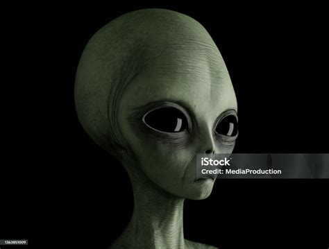Afbeeldingsresultaten voor Alien Foto Perfil