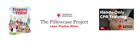 Image result for Program Life Cycle Red Cross