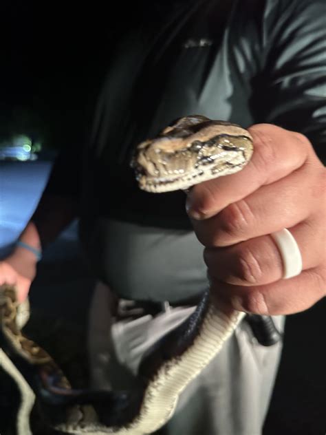 Toradh íomhá ar Python Sqrt