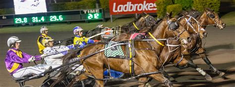 Retention Dual-Code に対する画像結果