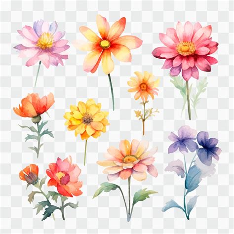 Image result for Watercolor Flowers Transparent Background
