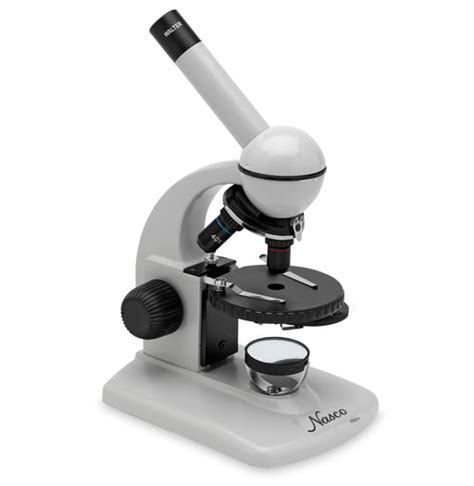 Image result for Compound Microscope Stage