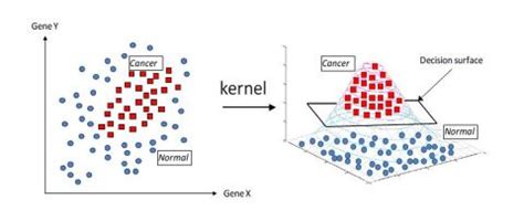 Image result for Kernel Methods