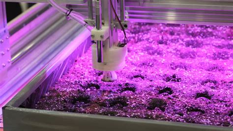 Image result for Processing Java Code Plant