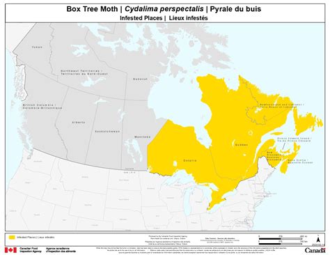 Image result for Box Tree Moth Us Map