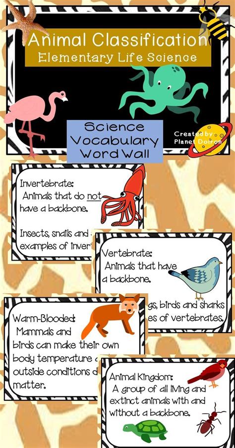 Image result for Classification Word Search