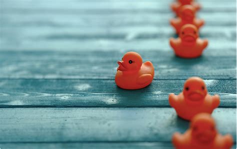 Image result for Different Project Life Cycle Models