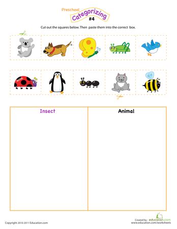 Image result for Sorting and Classifying Worksheets