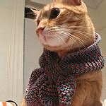 IntelliJ Java File Outside of Source Root に対する画像結果