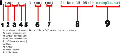 Image result for Linux Permissions Explained