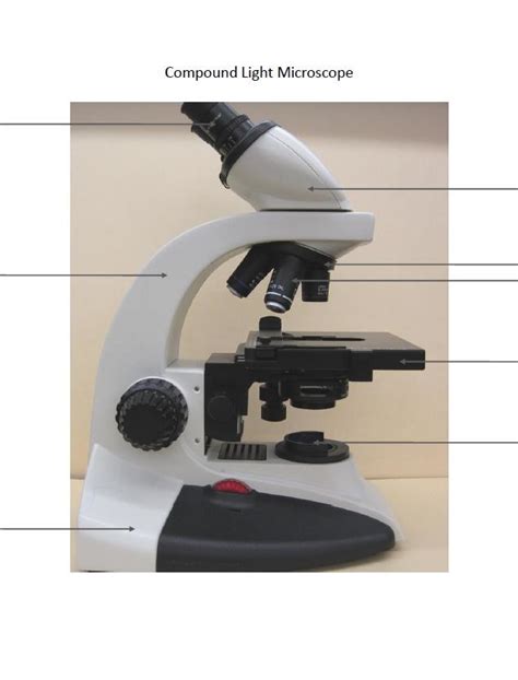 Toradh íomhá ar Compound Light Microscope Arm
