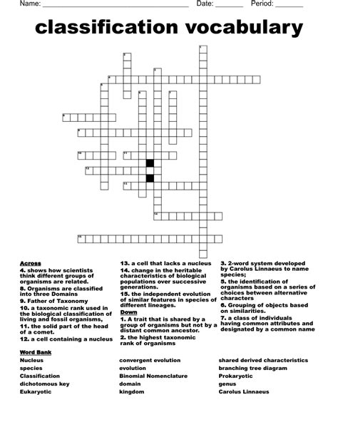 Image result for Vocabulary Classification Worksheet