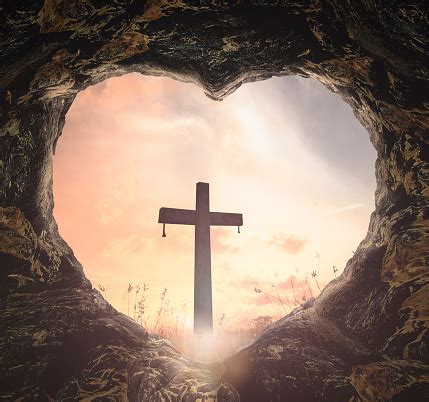 Image result for Cross-Platform Mobile Development Tools