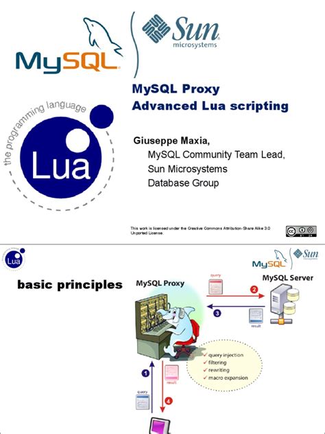 Image result for Lua Proxy