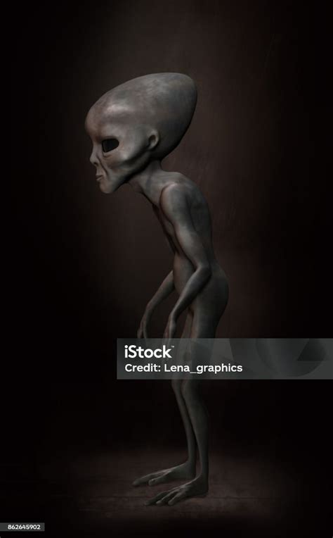 Image result for Alien Foto Perfil