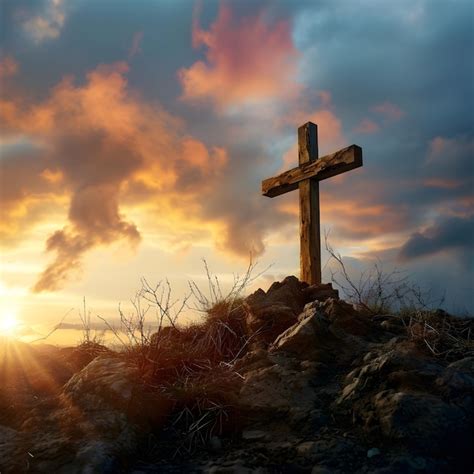 Image result for Cross-Platform Mobile Development Tools