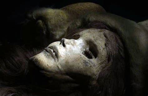 Image result for Alien Haai