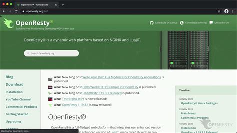 OpenResty Icon に対する画像結果