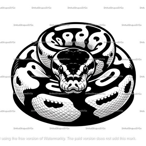 Image result for Python Snake Vector SVG