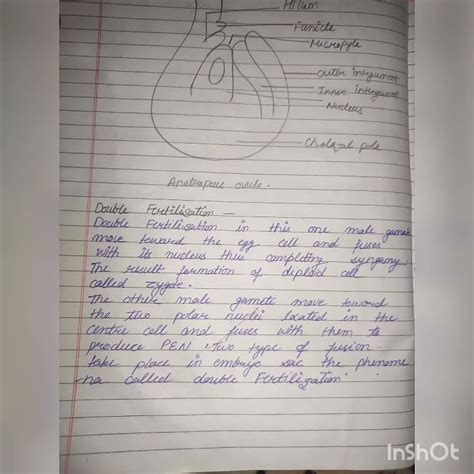 Afbeeldingsresultaten voor BST Notes Chapter 2 Class 12