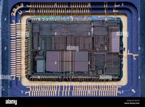 Image result for Microprocessor Chip