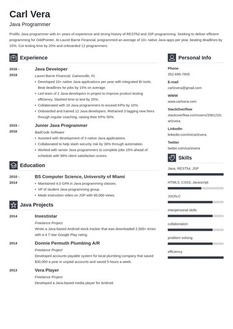 Image result for Programmer Resume