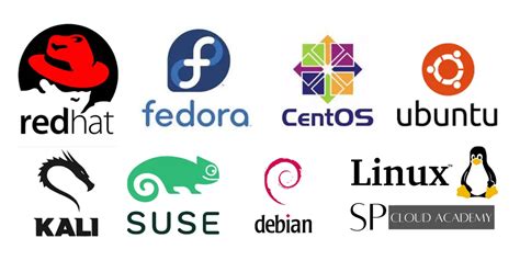 Image result for Different Types of Linux OS