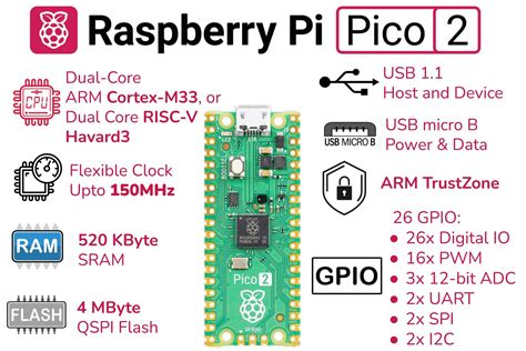Image result for Pico2 Raspberry Game