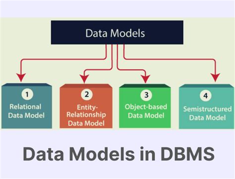 Image result for Network Model in DBMS