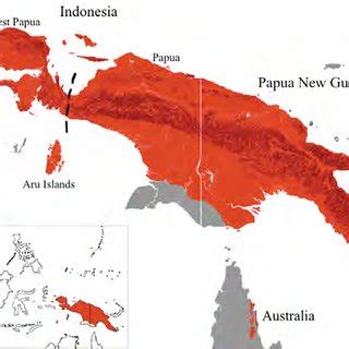 Image result for Green Yellow and Red Python