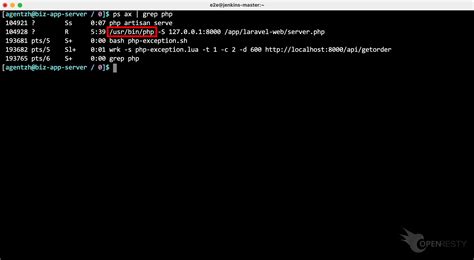 OpenResty 9443 Panel に対する画像結果