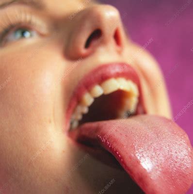 Image result for Healthy Human Tongue