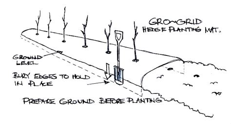 Image result for Preparing Ground for Native Hedge Planting