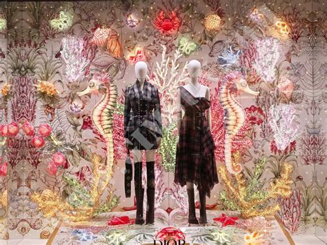 Afbeeldingsresultaten voor Window Display Prompt