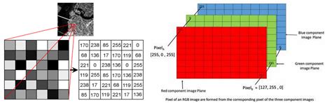 Image result for Difference Between SQL Dialects