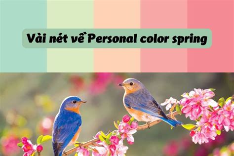 Image result for Spring Girl Personal Color