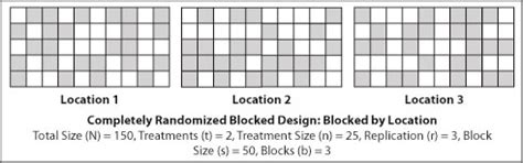 Image result for Randomization Block Design