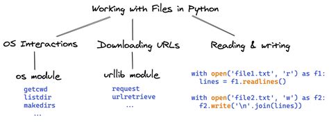 Image result for Vector Image of File Operation in Python