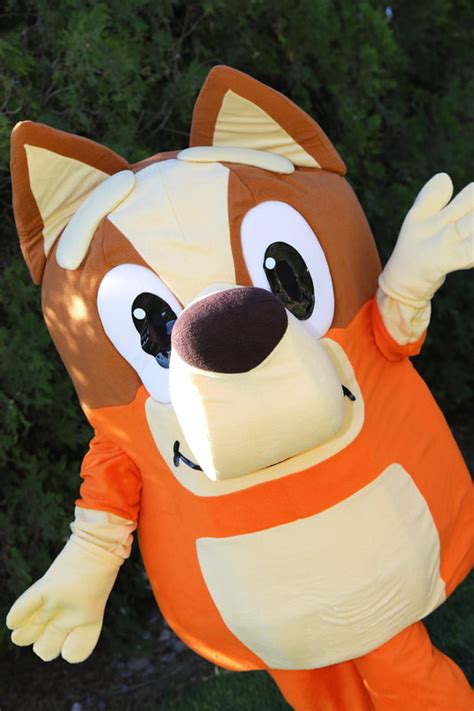 Java Swing Mascot-साठीचा प्रतिमा निकाल