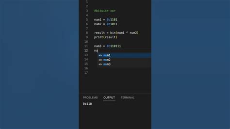 Xor Python に対する画像結果