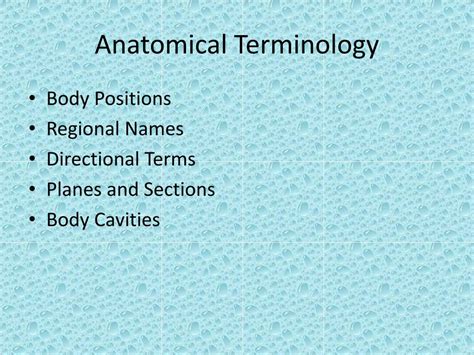 Toradh íomhá ar Anatomical Study Guide PDF