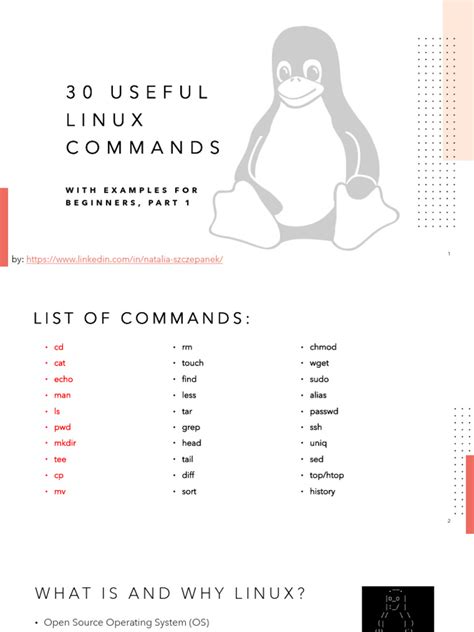 Image result for Linux Programming Basics