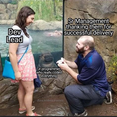 Toradh íomhá ar Programmer Hierarchy