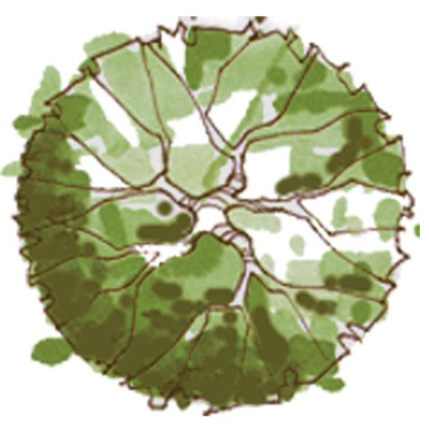 Afbeeldingsresultaten voor Tree Design Plate PNG