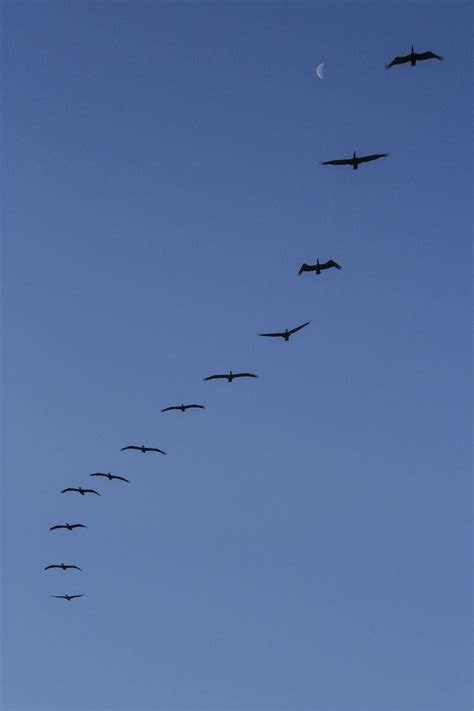 Rythimn Pattern Design に対する画像結果