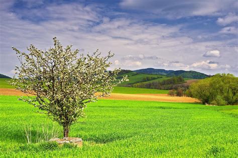 Free Photo Download Spring Landscape に対する画像結果