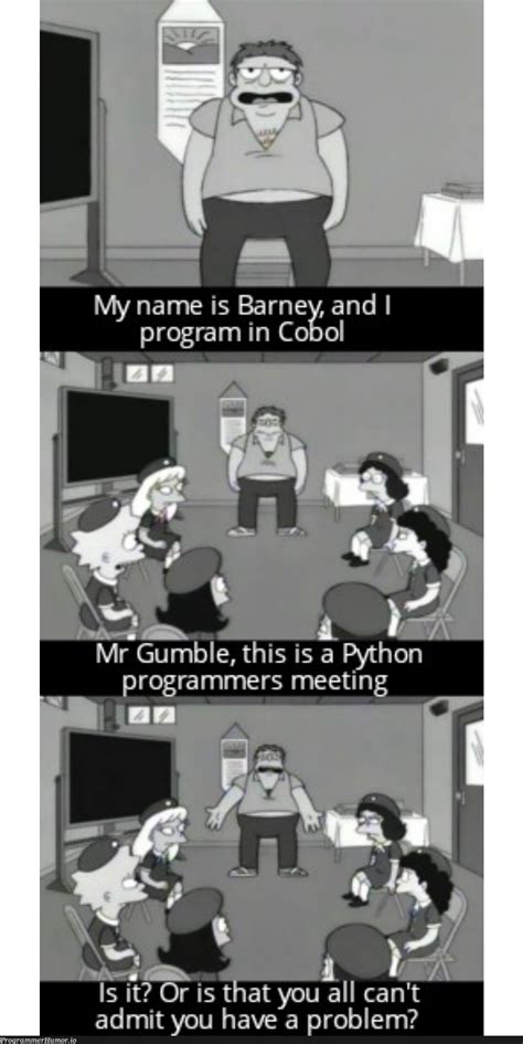 Image result for Python Programming Comment Memes