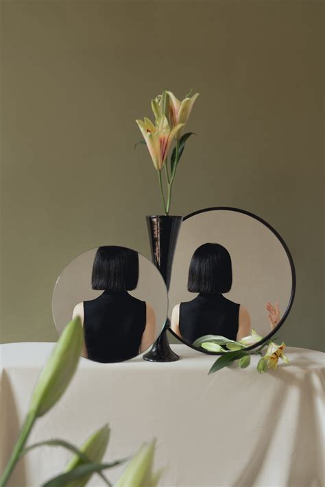 Self Portrait Reflection に対する画像結果