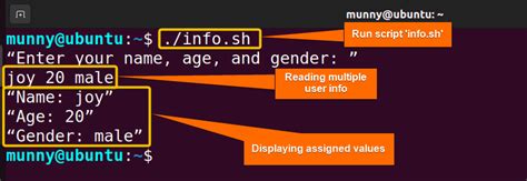 Image result for Multiple Input in Single Line in Linux