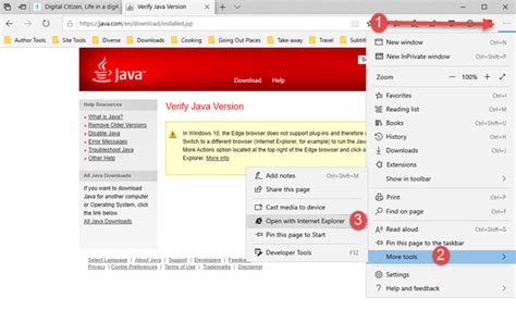 Image result for Enable Java Internet Explorer